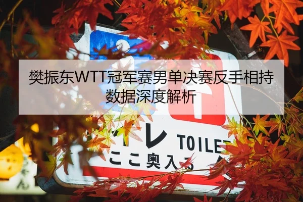樊振东WTT冠军赛男单决赛反手相持数据深度解析