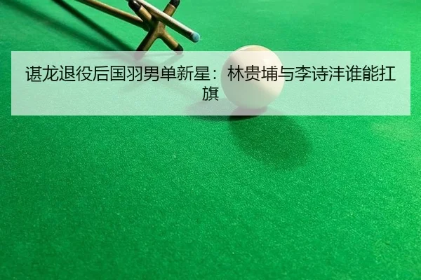谌龙退役后国羽男单新星：林贵埔与李诗沣谁能扛旗