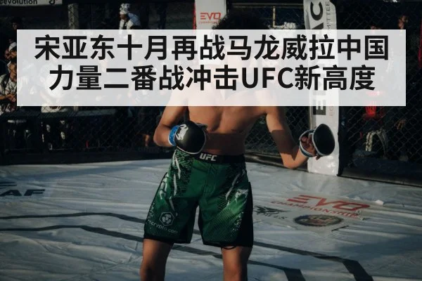 宋亚东十月再战马龙威拉中国力量二番战冲击UFC新高度